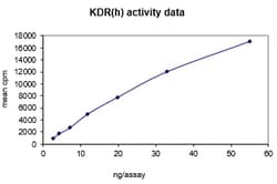 Eurofins DiscoverX KDR Protein, Active 10 &mu;g | Buy Online | Eurofins DiscoverX | Fisher Scientific